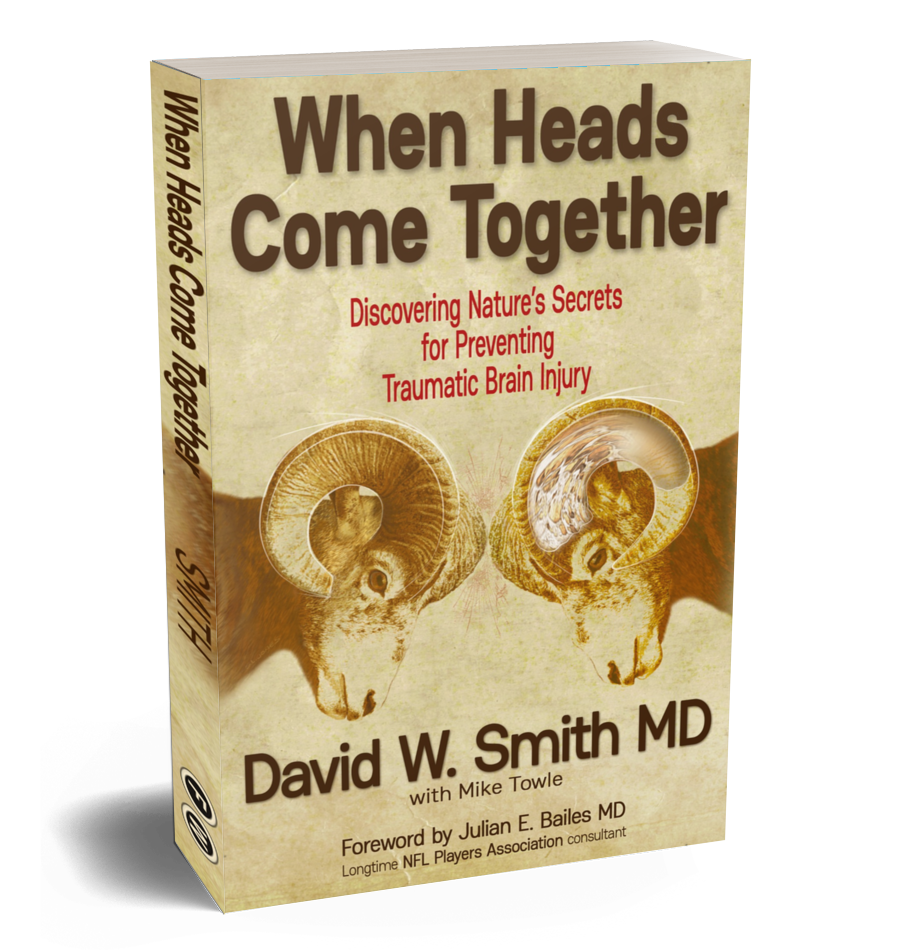 When Heads Come Together Book Cover